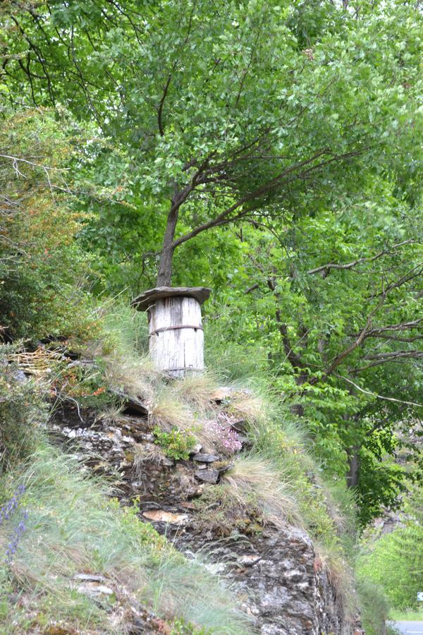Auberge Du Tarnon Les Vanels Eksteriør billede